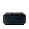 Secondhand Chanel Lambskin Coco Casino Vanity Case