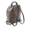 Louis Vuitton Monogram Mini Palm Springs Secondhand