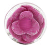 Chanel CC Resin Camellia Clip On Earrings Secondhand