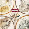 Hermès Chiens Au Rapport Carre Silk Scarf 90 Secondhand