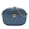 Chanel Small Quilted Metallic Goatskin Casual Trip Camera Bag Secondhand