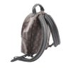 Louis Vuitton Monogram Palm Springs PM Secondhand
