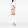 Celine Small Canvas Vertical Cabas Satchel Secondhand