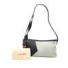 Secondhand LOEWE Suede Anagram Switching Shoulder Bag