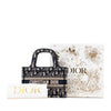 Dior Mini Oblique Book Tote Secondhand