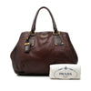 Prada Sfumato Cervo Antik Shopping Tote Secondhand
