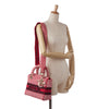 Dior DiorAmour Medium Embroidered Canvas Dots Lady D Lite Secondhand