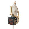 Celine Micro Suede Tricolor Luggage Tote Secondhand