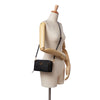 Dior Grained Calfskin Caro Double Pouch Secondhand