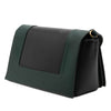 Celine Medium Shiny Smooth Calfskin Frame Shoulder Bag Secondhand