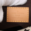 Louis Vuitton Tyler The Creator Monogram Craggy Mini Soft Trunk Secondhand