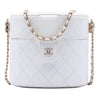 Chanel Small Quilted Lambskin CC Allure Vanity Case Secondhand