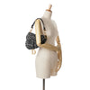 Dior Mizza Embroidered Canvas Leopard Saddle Bag Secondhand