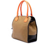 LOEWE Tricolor Leather Anagram Oro Handbag Secondhand