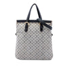 Louis Vuitton Monogram Mini Lin Francoise Secondhand