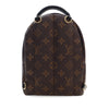Louis Vuitton Monogram Mini Palm Springs Secondhand