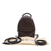 Louis Vuitton Monogram Mini Palm Springs Secondhand