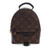 Louis Vuitton Monogram Mini Palm Springs Secondhand