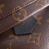 Louis Vuitton Monogram Mini Palm Springs Secondhand