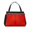 Celine Medium Bicolor Leather and Pony Hair Edge Handbag Secondhand