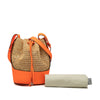 LOEWE Small Raffia and Calfskin Balloon Bucket Bag Secondhand