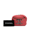 Chanel Lambskin Giant Crystal CC Camera Bag Secondhand