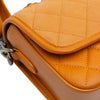 Chanel Small Quilted Iridescent Calfskin and Caviar Daily Carry Flap Secondhand