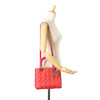 Dior Medium Bicolor Lambskin Cannage Lady Dior Secondhand