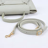 CELINE Belt Bag Grained Calfskin Nano 2Way Handbag in Mint (Marketplaces) Secondhand
