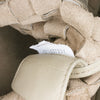 Bottega Veneta Nappa Intrecciato Fold Over Crossbody Secondhand