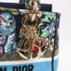 Dior Lady D-Lite Canvas D-Constellation Embroidered Medium 2Way Handbag in Multicolor Secondhand