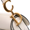 Dior Grained Calfskin Saddle Bag Secondhand