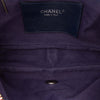Chanel Small Quilted Iridescent Calfskin Shiva Flap Secondhand