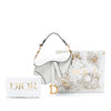 Dior Micro Goatskin Saddle Bag Secondhand