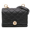 Chanel Mini Quilted Calfskin Pearl CC Accordion Flap Secondhand