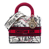 Dior DiorAmour Medium Embroidered Canvas Graffiti Lady D Lite Secondhand