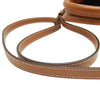 Celine Mini Triomphe Coated Canvas Vertical Cabas Satchel Secondhand