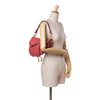 Dior Calfskin Saddle Bag Secondhand
