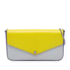 Louis Vuitton Epi Tricolor Pochette Felicie Secondhand