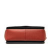Celine Medium Shiny Smooth Calfskin Frame Shoulder Bag Secondhand
