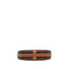 Celine Mini Triomphe Coated Canvas Ava Shoulder Bag Secondhand