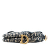 Dior Oblique Embroidered Canvas Saddle Bag Secondhand