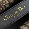 Dior Large Canvas Eiffel Tower Toujours Tote Secondhand