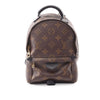 Louis Vuitton Monogram Mini Palm Springs Secondhand