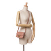 Celine Teen Shiny Calfskin Triomphe Crossbody Secondhand