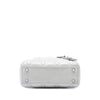 Dior Mini Iridescent Lambskin Cannage Lady Dior Secondhand