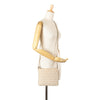 Fendi Zucchino Canvas Crossbody Secondhand