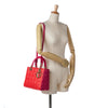 Dior Medium Bicolor Lambskin Cannage Lady Dior Secondhand