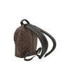 Louis Vuitton Monogram Reverse Palm Springs PM Secondhand