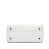 Dior Medium Embroidered Canvas Cannage Lady D Lite Secondhand